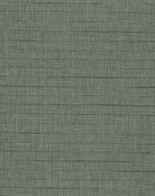 CH2-RSL-03 Rashul Jade